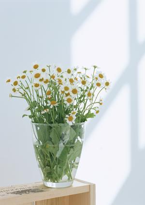 耐震改修の種類とそれぞれの特徴について